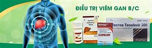 Dược Phẩm Đất Việt