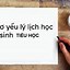 Mẫu Sơ Yếu Lý Lịch Học Sinh Lớp 6