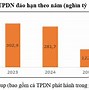 Thị Trường Thời Trang Việt Nam 2022