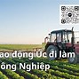 Việc Làm Nông Trại Tại Úc Mới Nhất Hiện Nay